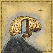 Learning Pathway to Brain