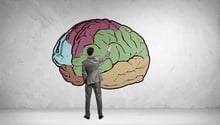 The Forgetting Curve Neuroscience in Learning The Forgetting Curve Neuroscience in Learning