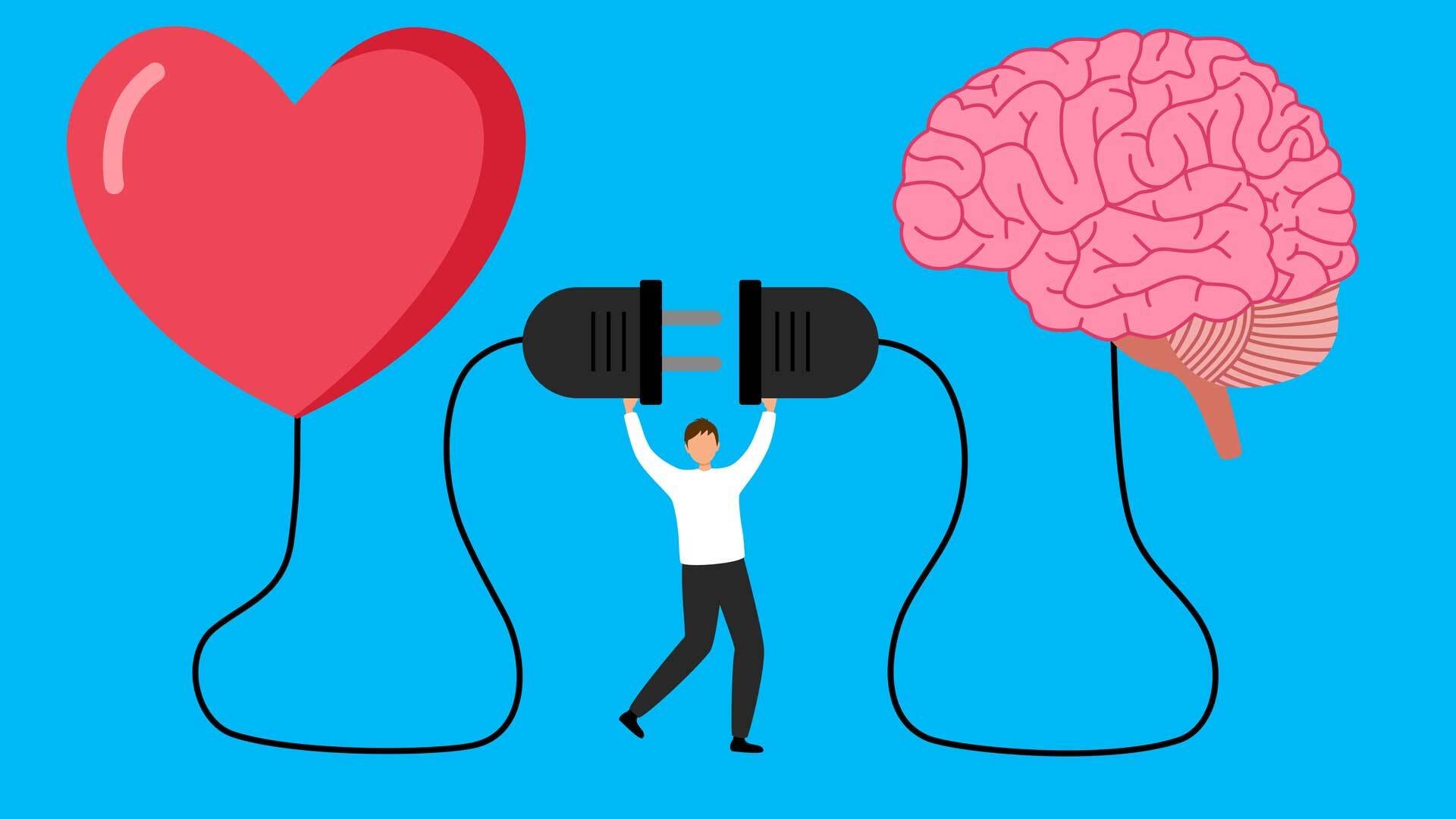 A person connects two cables, one attached to the brain, one to a heart