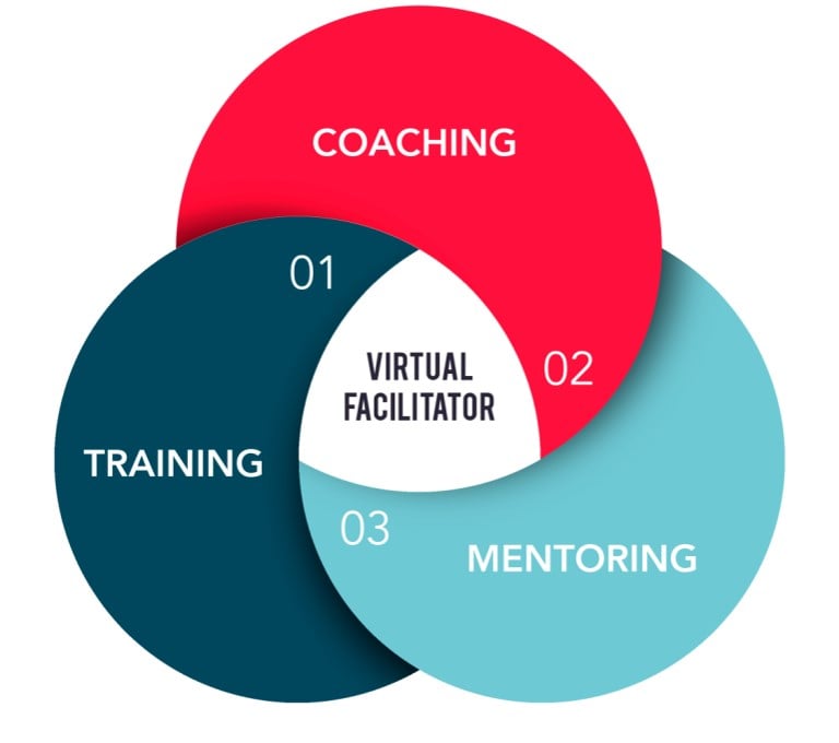 [Infographic] The Virtual Classroom Facilitator: Trainer, Coach, & Mentor